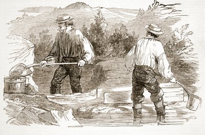 1849年のイラスト入りロンドン・ニュースより、掘りで金を洗う 作： English School