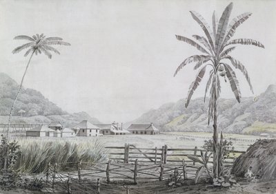 ハルマイスホール、ジャマイカ、1780年頃（紙＆紙に黒鉛） 作： English School