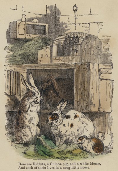 ここにはウサギ、モルモット、白いネズミがいて、それぞれがぴったりとした小さな家に住んでいます（彩色済み彫刻）。 作： English School