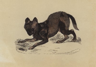 Hyaena Dog（カラーリトグラフ 作： English School