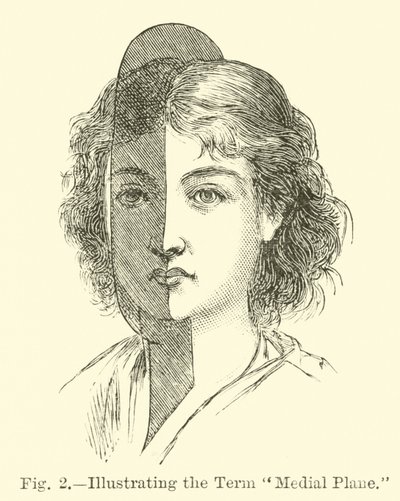 中間面という用語の説明 作： English School
