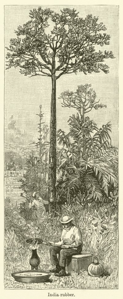 インドゴム（刻印） 作： English School