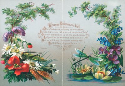 昆虫と花、クリスマスカード 作： English School