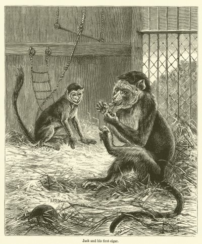 ジャックと最初の葉巻（エングレーヴィング） 作： English School