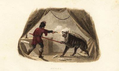 アビシニアのマイサ（エチオピアのゴンダール近郊）のテントで、ピストルと矛を持ってハイエナを殺すジェームズ・ブルース 作： English School