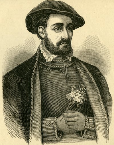 ジョン・ダドリー、ノーサンバーランド公（1502-53） 作： English School