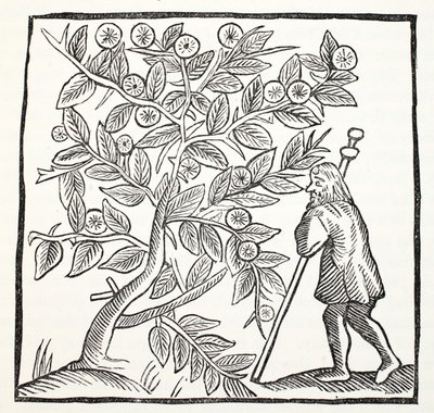 アリマシアのジョセフとグラストンベリーのとげ、パブのジョンアシュトンによる18世紀のChap-booksのイラスト。 1882 作： English School
