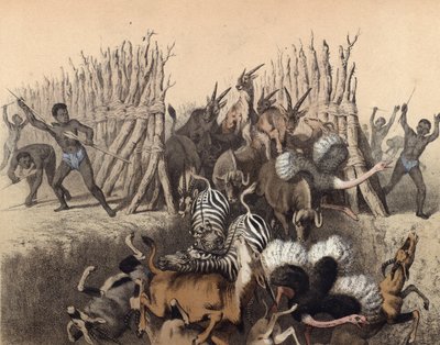 動物を穴に追い込むカフィール 作： English School