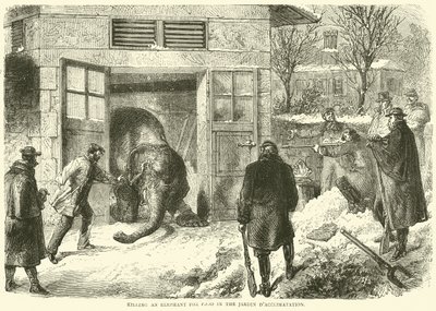 1870年11月、Jardin dAcclimatationで象を食糧のために殺害 作： English School