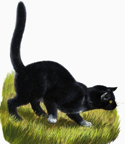 子猫 作： English School