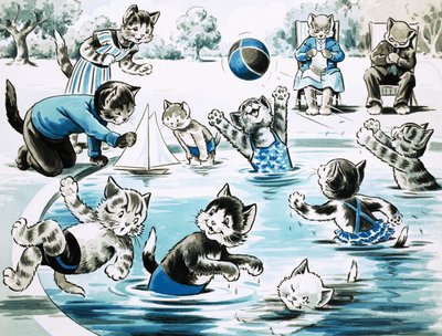池で遊ぶ子猫 作： English School