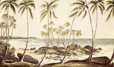 コスゴダビーチ、セイロン、1835年頃（紙にトイレ） 作： English School