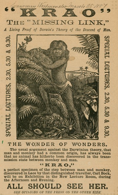 1887年にロンドンのウェストミンスター水族館に展示されたミッシングリンクのクラオ 作： English School