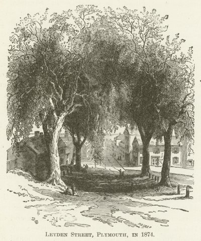 1874年のプリマスのライデンストリート 作： English School