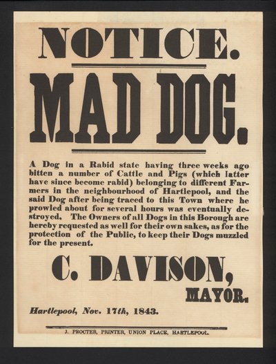 狂犬の注意、ハートリプール、1843年 作： English School