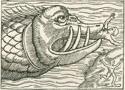 海蛇に食われる人間。オラウス・マグヌスが作成した地図の余白に描かれたイラスト。 作： English School