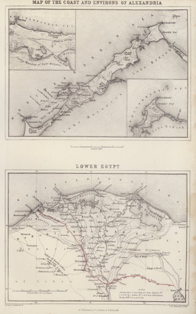 地図アレクサンドリア海岸と周辺地図；下エジプト（カラーリトグラフ） 作： English School