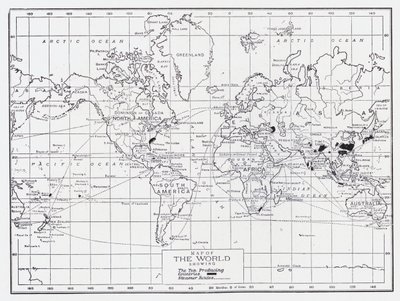お茶の生産国を示す世界地図 作： English School