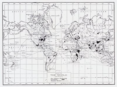 たばこ生産国を示す世界地図 作： English School
