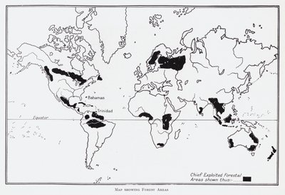 森林地帯の地図（リトグラフ 作： English School