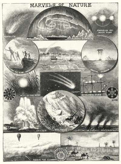 Marvels of Nature (エングレービング) 作： English School