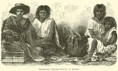 Mendicant Village Indians of Mexico 作： English School