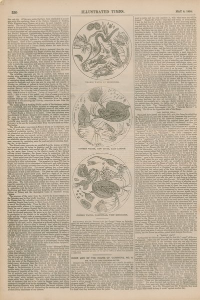 水の顕微鏡画像 作： English School