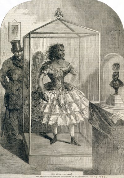 ミス・ジュリア・パストラーナ、The Embalmed Nondescript、191ピカデリー、1862年に展示 作： English School