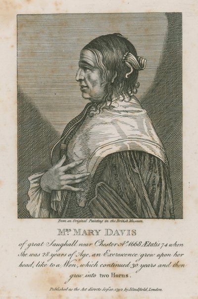 チェスター近くの偉大なソーガールのメアリーデイビス夫人、1668年 作： English School