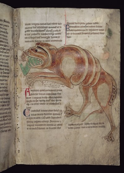 Ms.254 f.24 r Cocodrillus男を飲み込む 作： English School