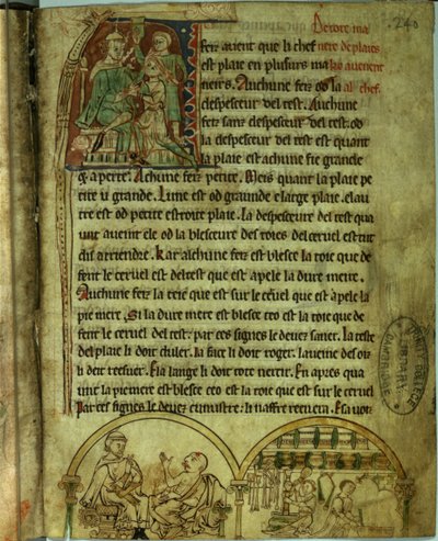 Ms.O.1.20.f.241v ジェローム: 