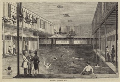 国立水泳場 作： English School