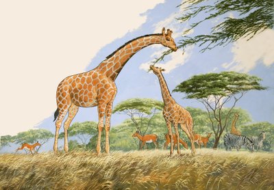 ネイチャーワンダーランド：キリンのためのハイティー 作： English School