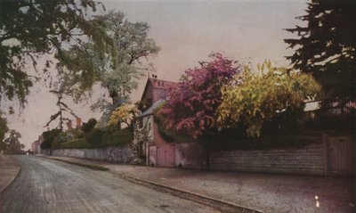 写真によって色で明らかになった自然の美しさ（カラー写真） 作： English School