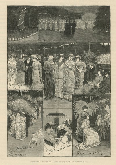 植物園での夜のお祭り 作： English School