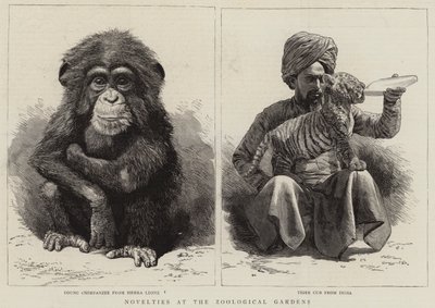 動物園のノベルティ（彫刻 作： English School