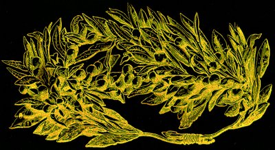 金色のオリーブの花輪、ビクターデュルイによるローマの歴史のイラスト、1884年に公開（デジタル処理された画像） 作： English School