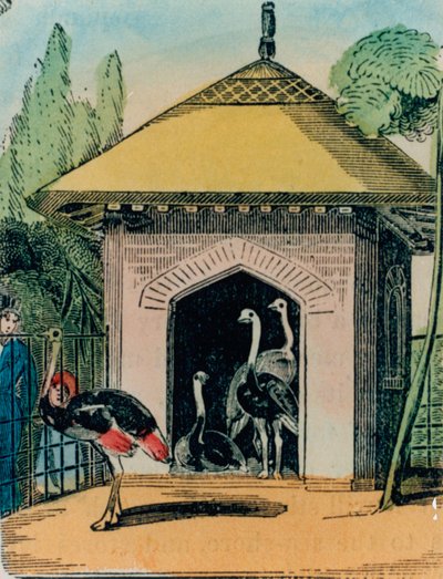 ロンドン動物園のダチョウとエミューの家。 1840年代 作： English School