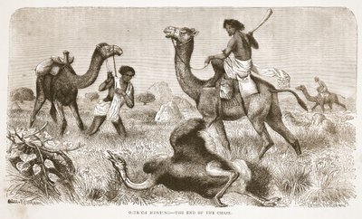 ダチョウの狩猟-追跡の終わり、J。ユーイングリッチー著のThe Pictorial Edition of the Life and Discoveries of David LivingstoneのイラストA. Fullarton＆Co.、1876年 作： English School