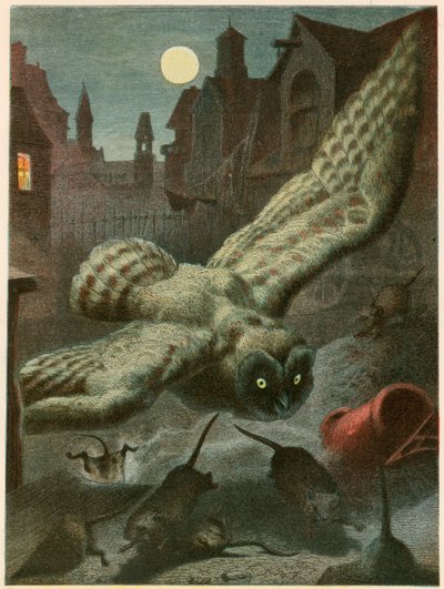 ネズミのフクロウ狩り 作： English School
