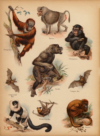 The Little Folks
