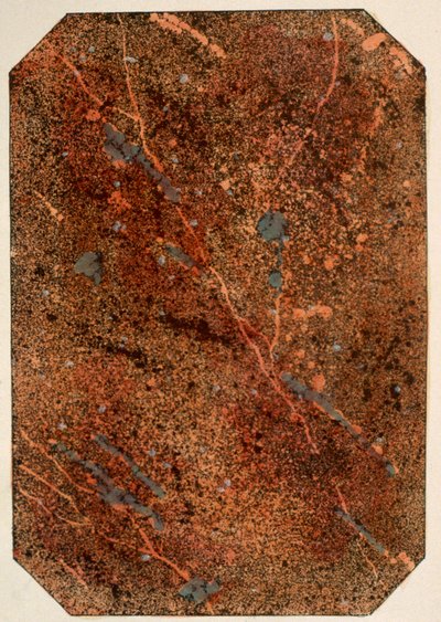 霜降りの効果を示すビクトリア朝のパターンブックのページ、1880年代に公開 作： English School