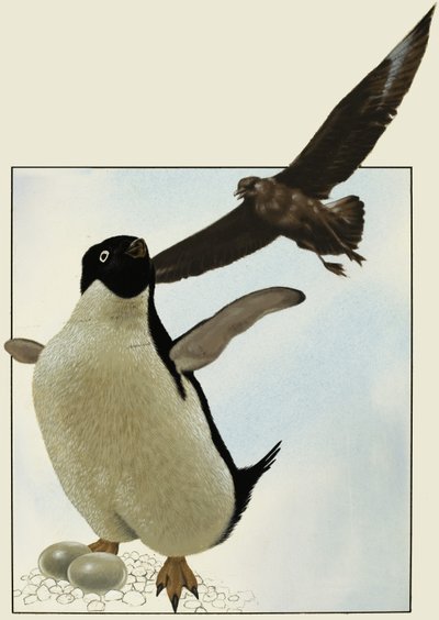ペンギンと卵、別の鳥が上をホバリング 作： English School