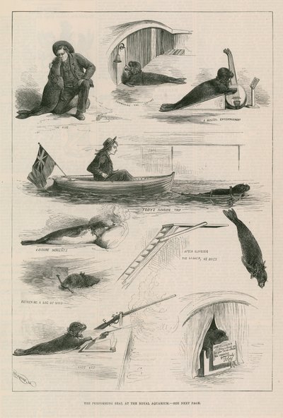 王立水族館で封印を行う 作： English School