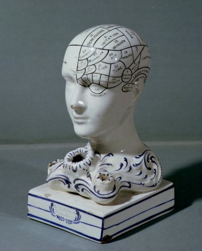 フレデリックブリッジス博士（磁器）による骨相学の頭部 作： English School