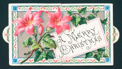 ピンクのユリ、クリスマスカード 作： English School