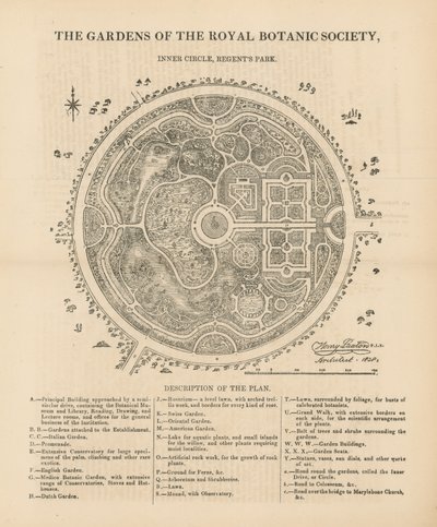 王立植物協会の庭園の平面図 作： English School