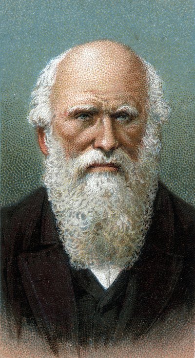 チャールズ・ロバート・ダーウィン（1809-1882）の肖像 - シリーズ「人間のリーダーたち」より - クロモリトグラフ - イギリス派、20世紀 - 。 作： English School