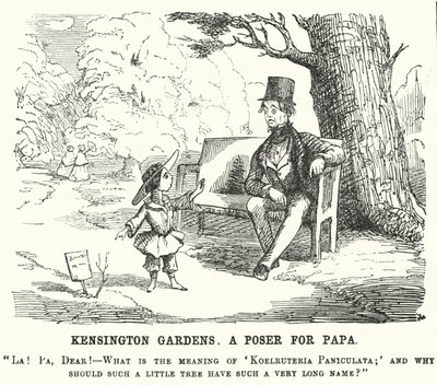 パンチ・カートゥーン：ロンドンのケンジントン・ガーデンズで父親に質問する子供（エングレーヴィング 作： English School