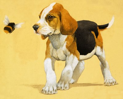 子犬 作： English School